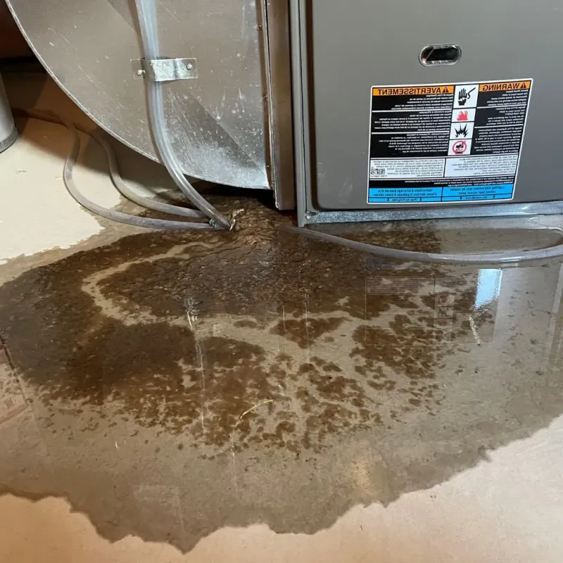 Pipe Burst and Leak Restoration in New Hope, PA